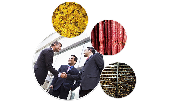 資質齊全 優質原材 嚴格質檢